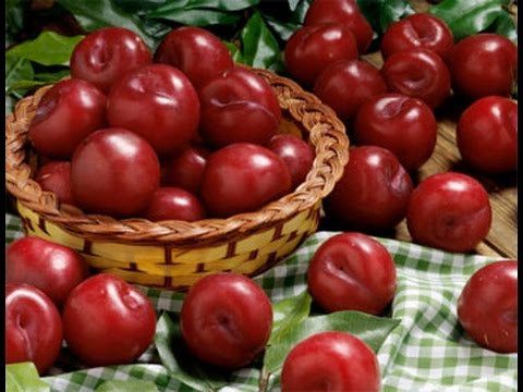 Những người mắc bệnh này tuyệt đối không ăn mận vì cực độc ảnh 1