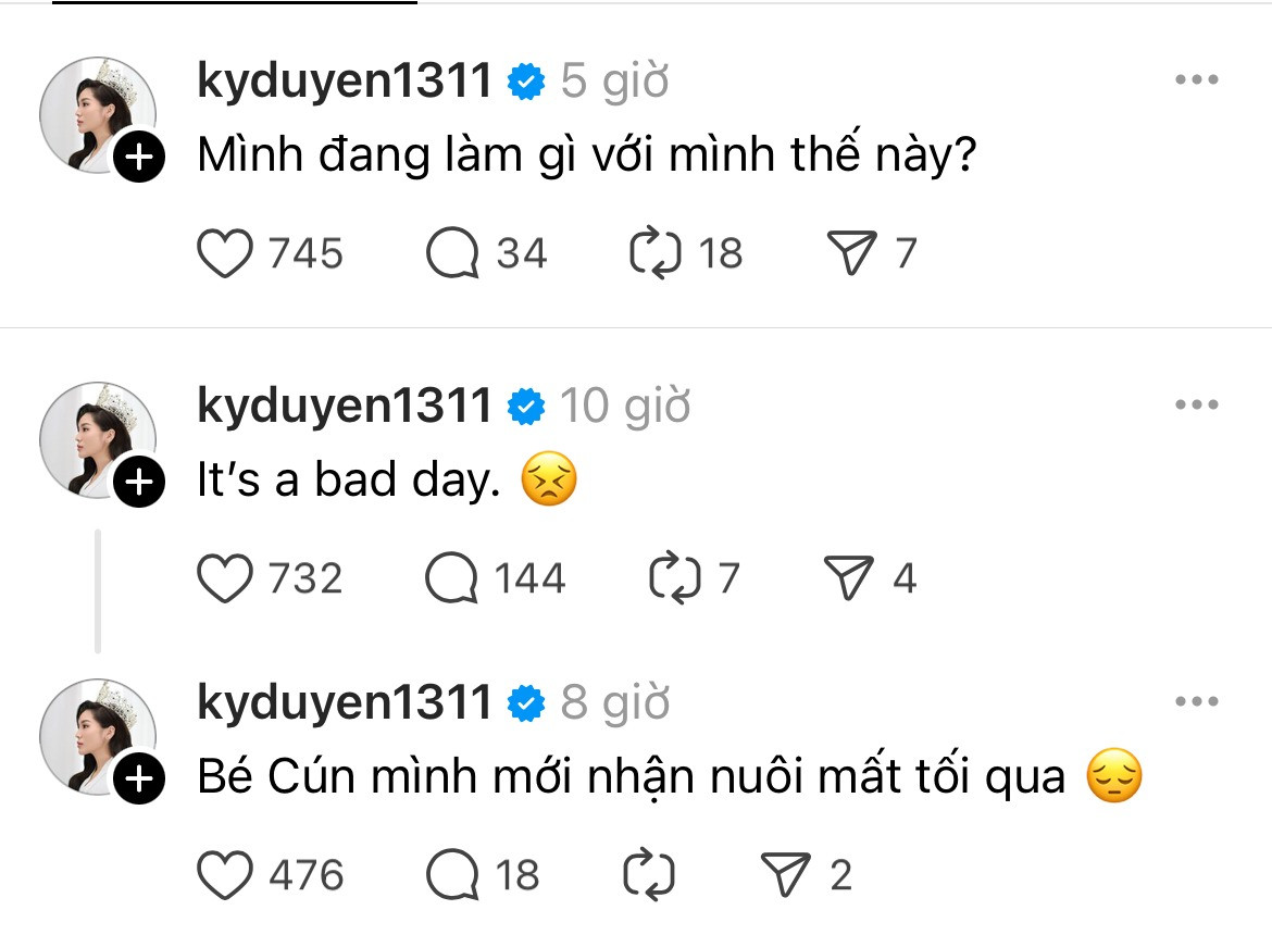 Hoa hậu Kỳ Duyên chia sẻ về nỗi buồn mất đi em cún.