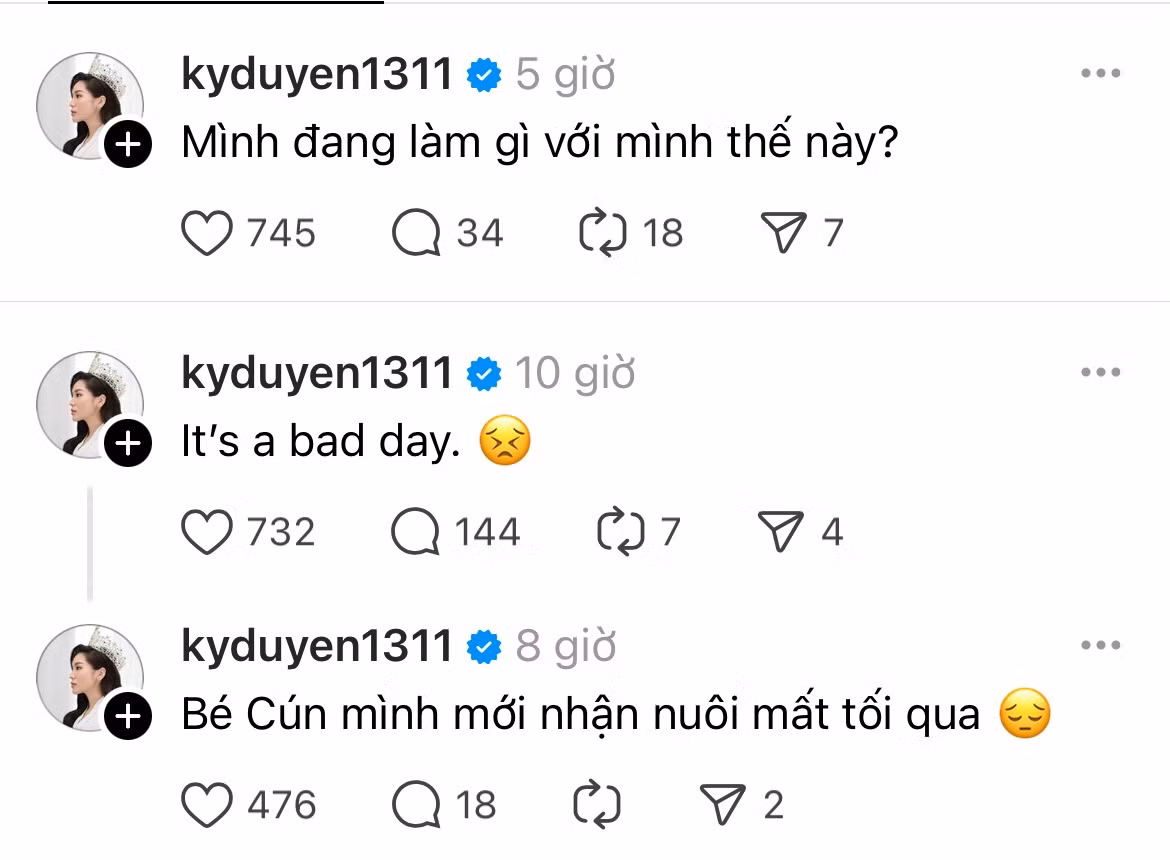 Hoa hậu Kỳ Duyên chia sẻ về nỗi buồn mất đi em cún.