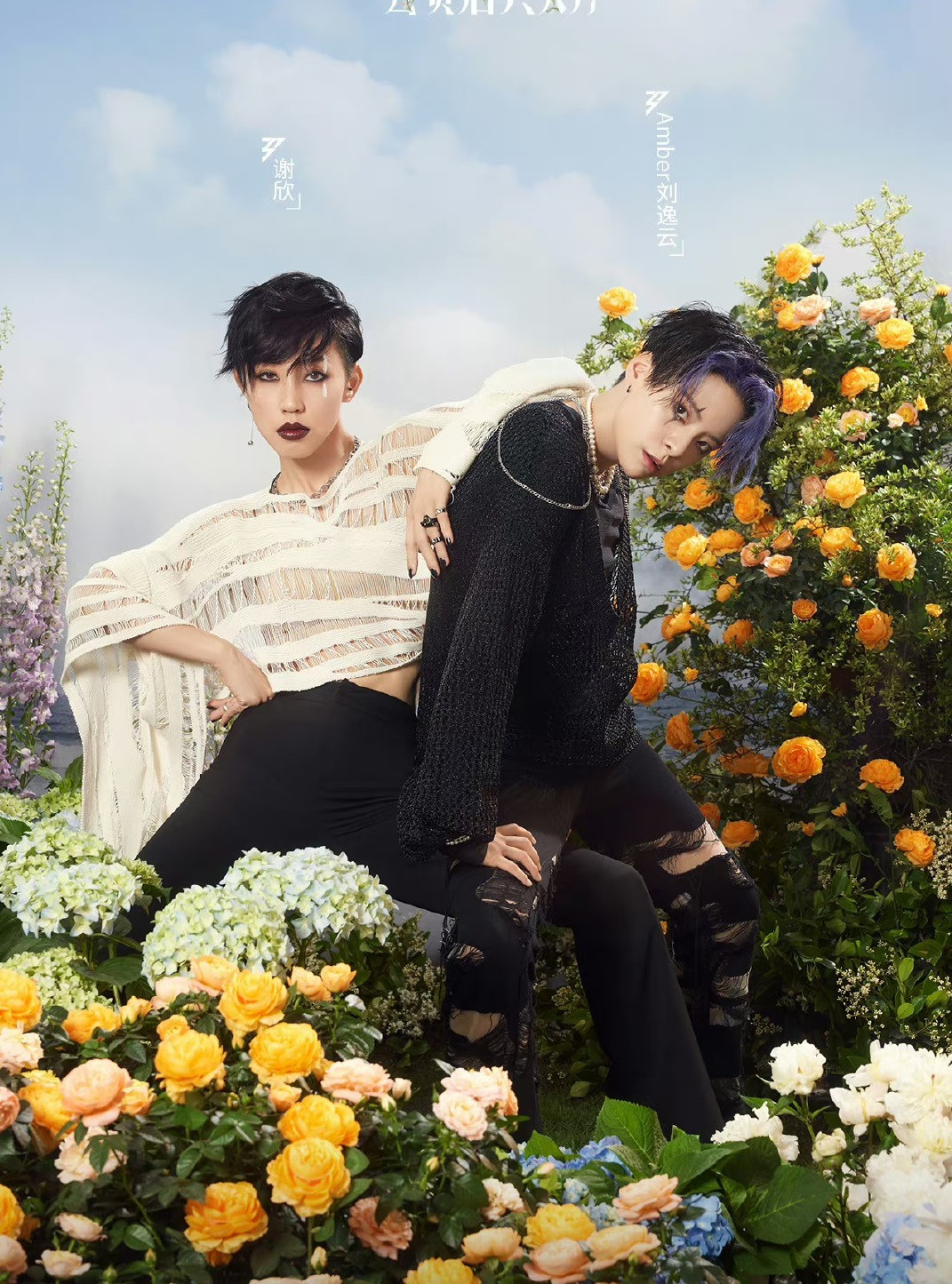 Amber chọn về cùng đội Tạ Hân.