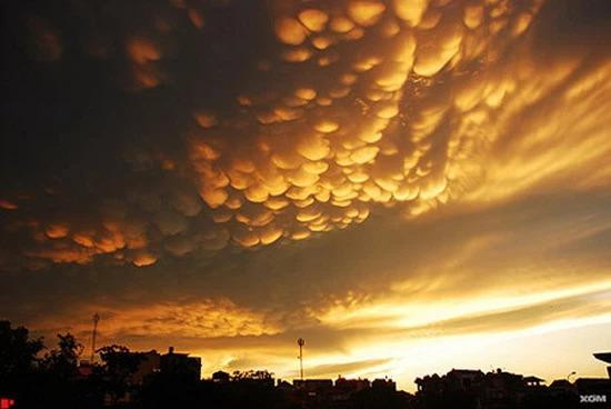 Mây vẩy rồng thường biến thành giông bão