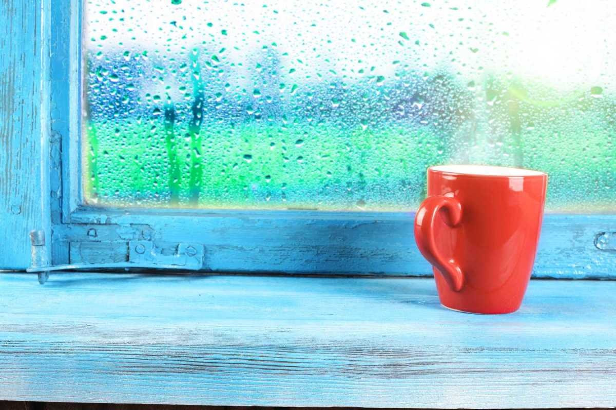 Trời nồm là kiểu thời tiết không ai muốn nếm trải. Trời nồm là kiểu thời tiết không ai muốn nếm trải.