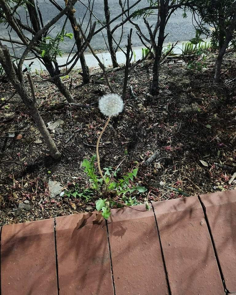 Avatar của nữ diễn viên chung loài hoa với bức ảnh cuối cùng của Moon Bin. Avatar của nữ diễn viên chung loài hoa với bức ảnh cuối cùng của Moon Bin.