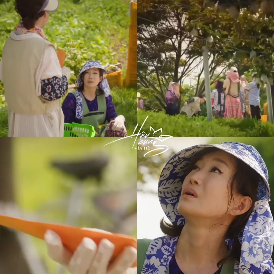 Mẹ của Hae In đã đi làm ở trang trại trồng lê. Mẹ của Hae In đã đi làm ở trang trại trồng lê.