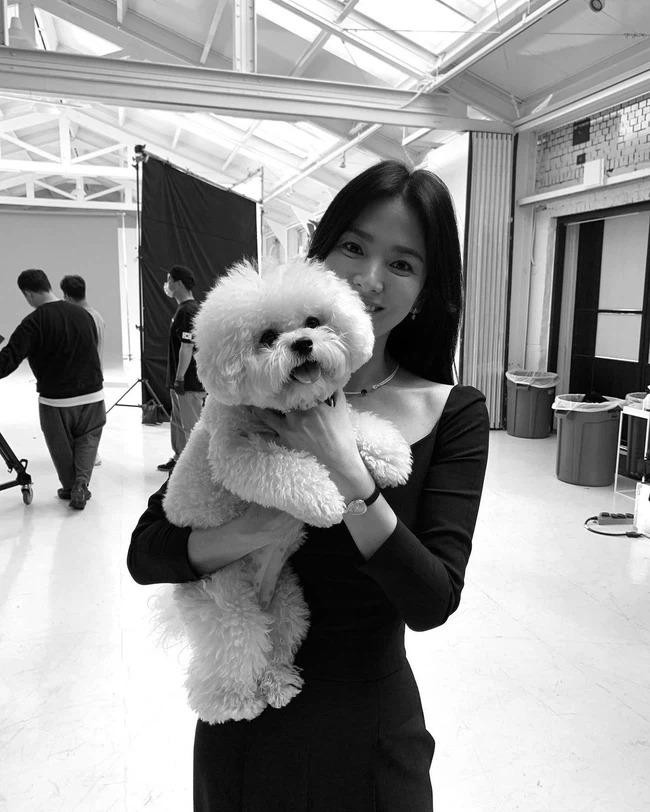 Bức hình Song Hye Kyo chia sẻ cùng ngày chồng cũ cập nhật Instagram