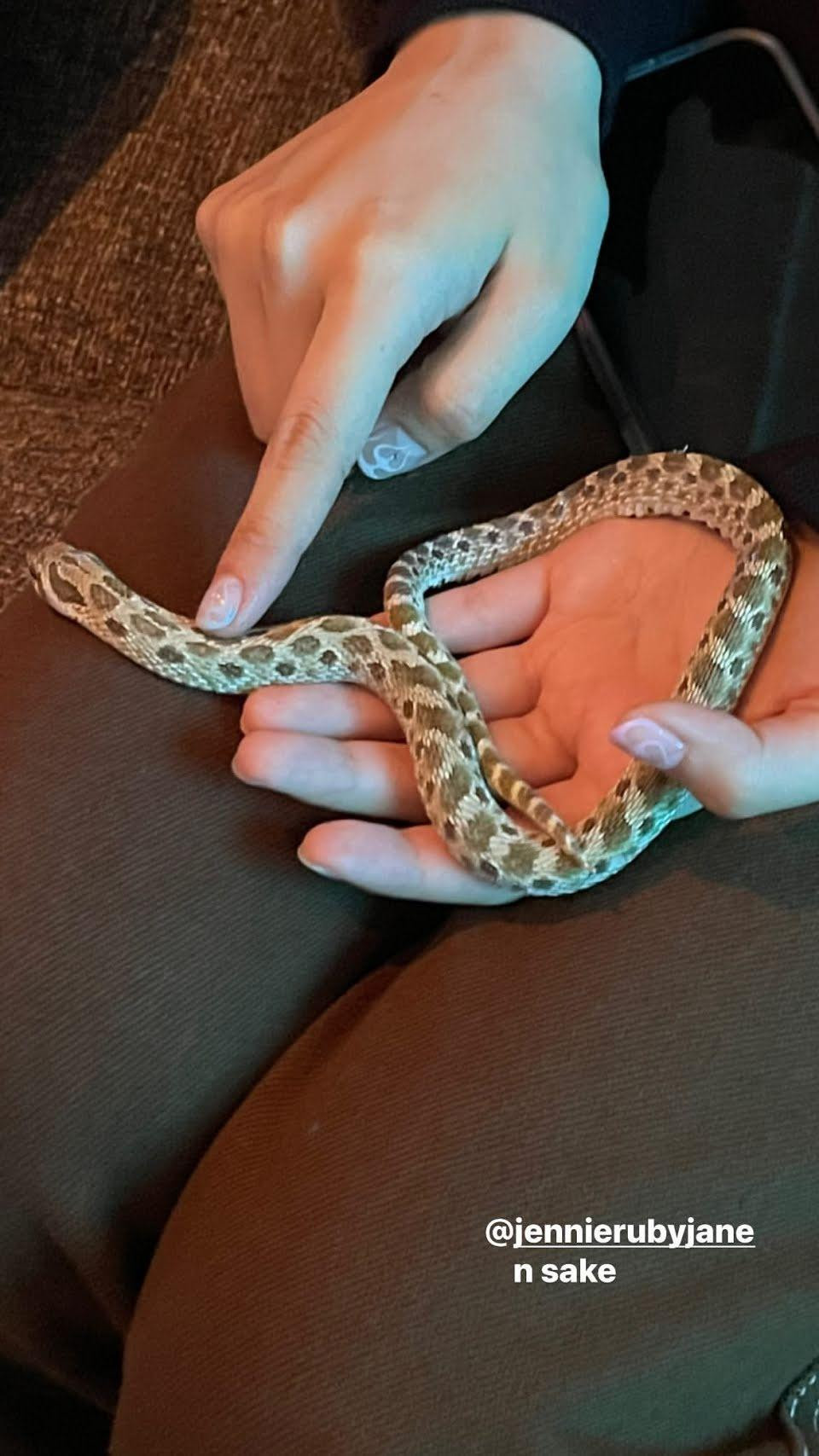 Bức hình khiến netizen bất ngờ Bức hình khiến netizen bất ngờ