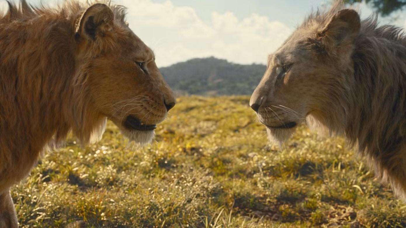 Mufasa và Taka là anh em thân thiết. Mufasa và Taka là anh em thân thiết.