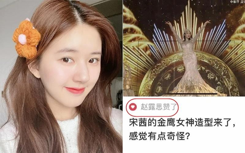 Màn lỡ tay nhấn nút thích bài chê Tống Thiến từng khiến khán giả xôn xao