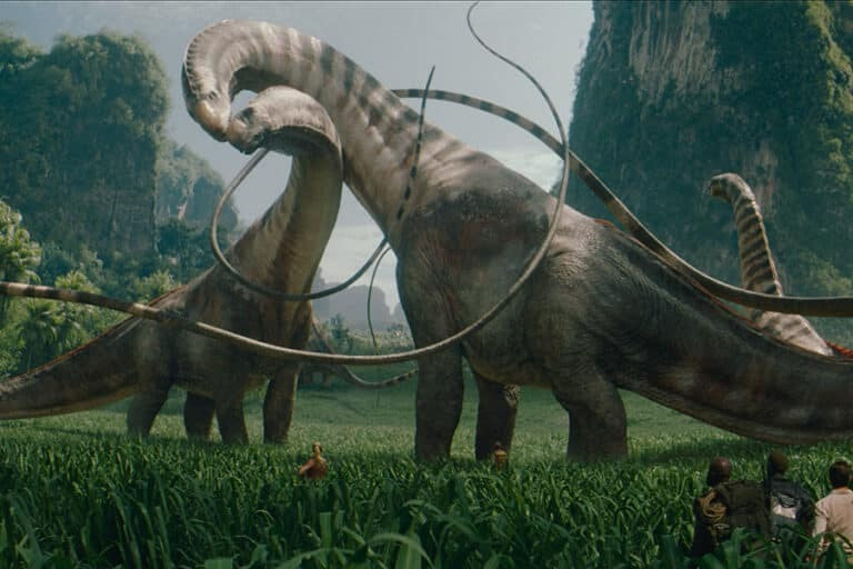 Thiên nhiên luôn có cách cân bằng mọi thứ.