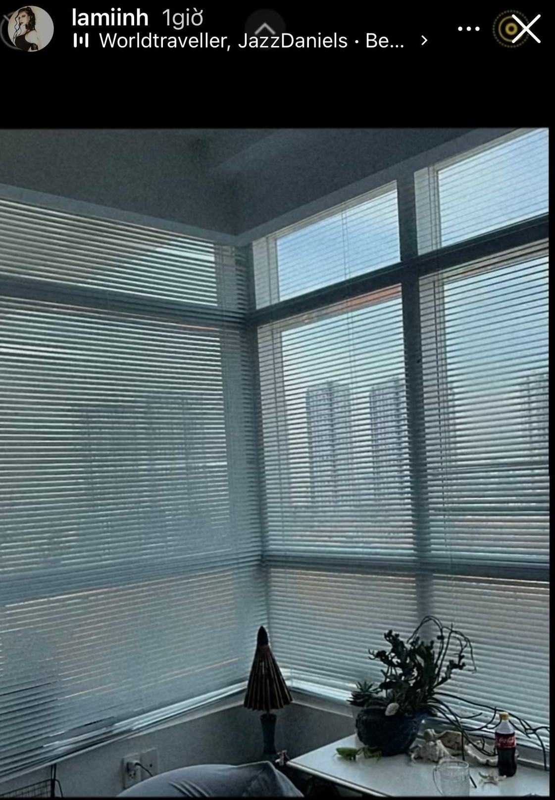 Phải chăng Lâm Minh và con đã chuyển tới nơi ở khác như lời cô nói?