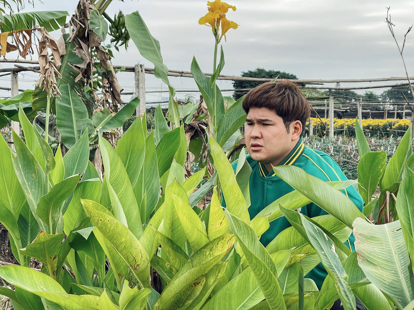 Phân đoạn ở vườn hoa từng khiến khán giả bật cười