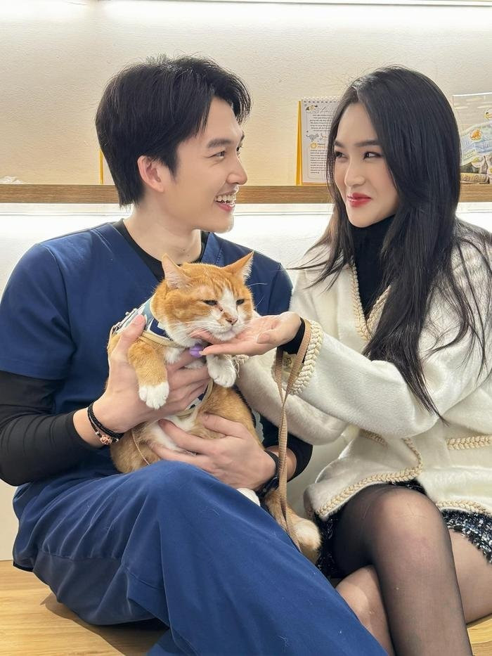 Cù Thị Trà lại làm bạn gái cũ của Đình Tú. Cù Thị Trà lại làm bạn gái cũ của Đình Tú.