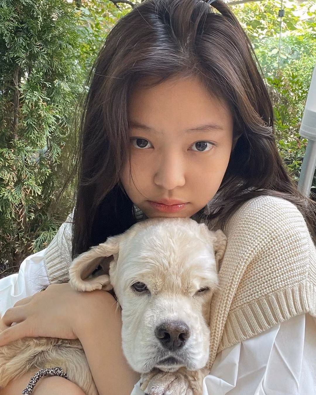 Sau đó Jennie đã để tóc đen tự nhiên để tóc khỏe lại Sau đó Jennie đã để tóc đen tự nhiên để tóc khỏe lại