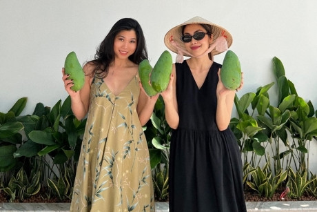 Hè năm nào Hà Tăng cũng khoe ảnh hái xoài.