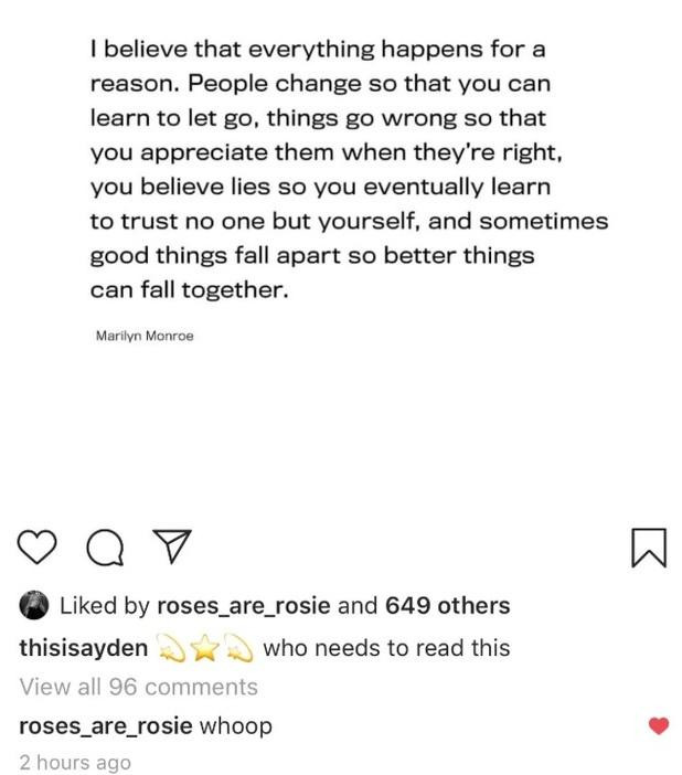 Rosé thích một bài đăng khiến netizen dậy sóng.