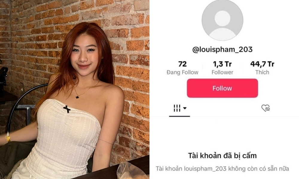 Tài khoản TikTok dù có tới hơn 1 triệu người theo dõi nhưng đã bị cấm.