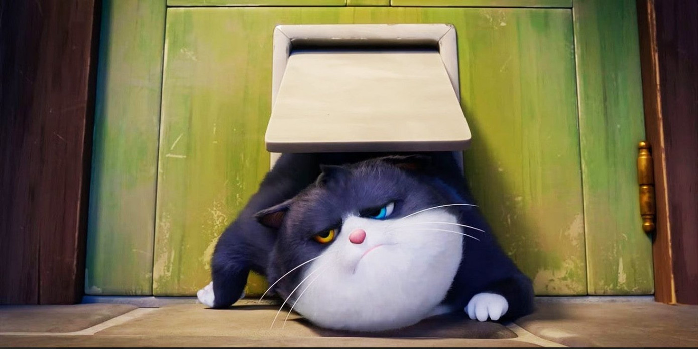 Mèo mập ích kỷ sẽ phải thay đổi để giữ mạng sống. Mèo mập ích kỷ sẽ phải thay đổi để giữ mạng sống.