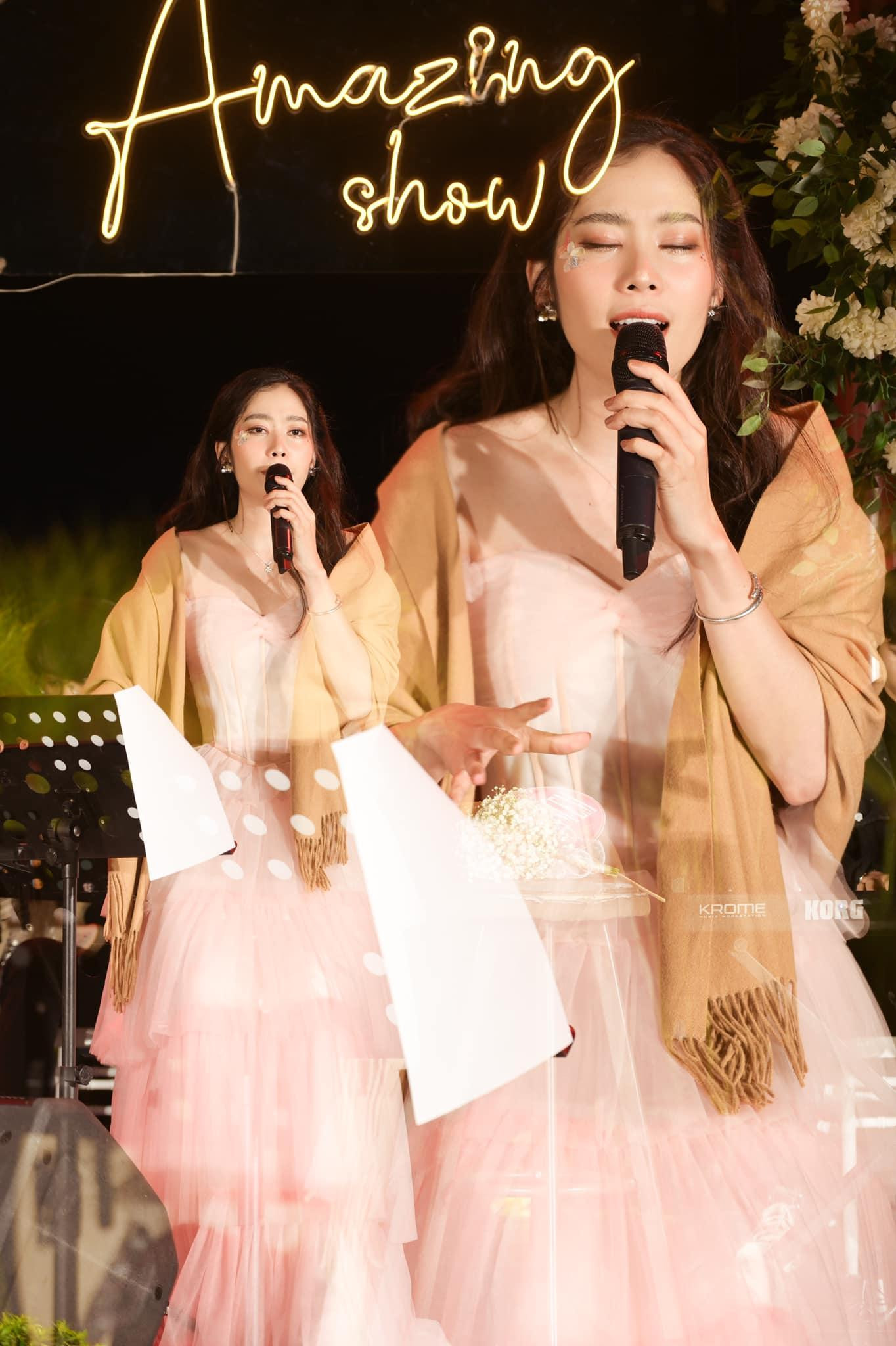 Người hâm mộ cho rằng Nam Em nên tập trung vào sự nghiệp ca sĩ