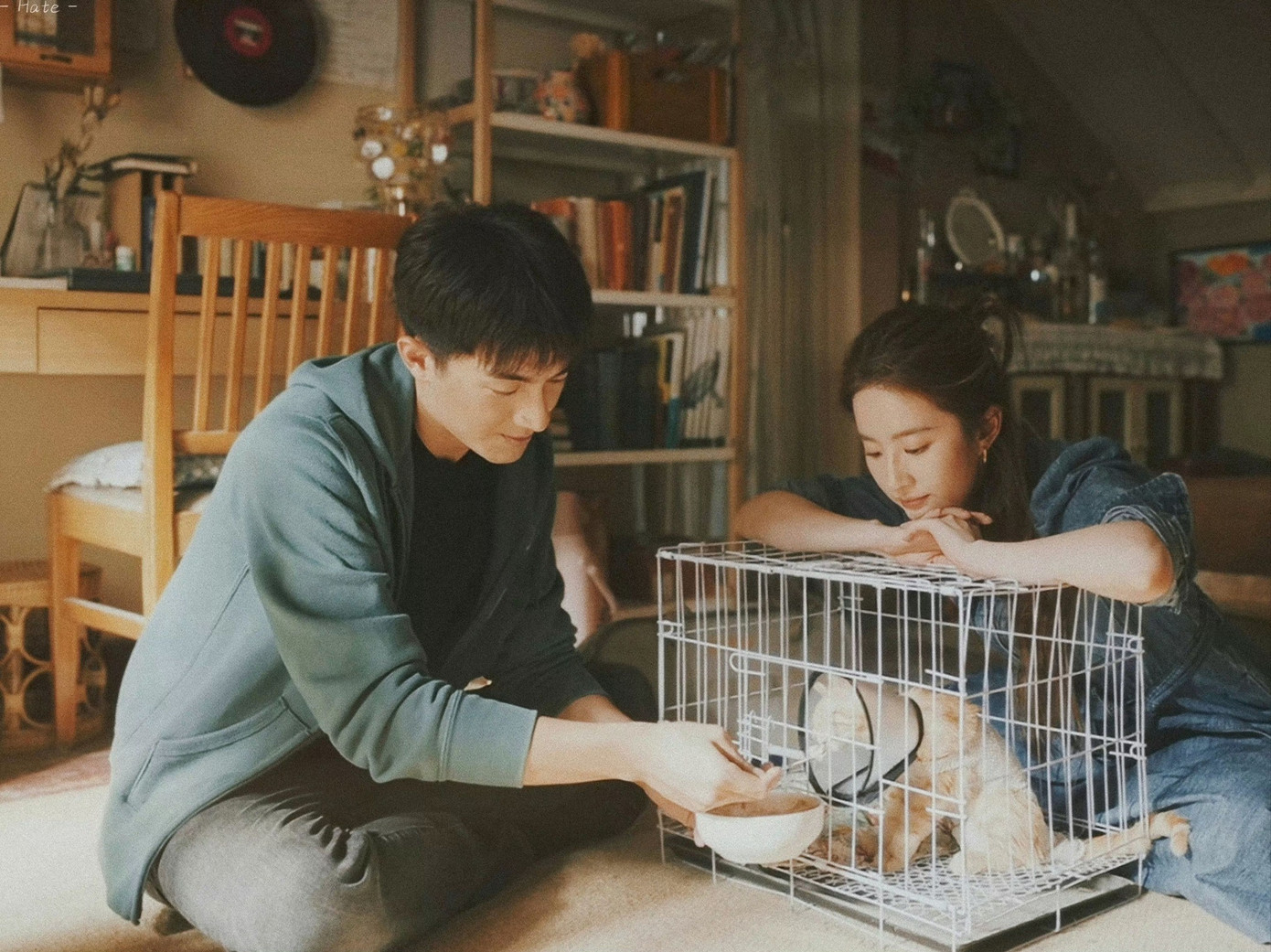 Hai người đã từng có nhiều năm hạnh phúc. Hai người đã từng có nhiều năm hạnh phúc.