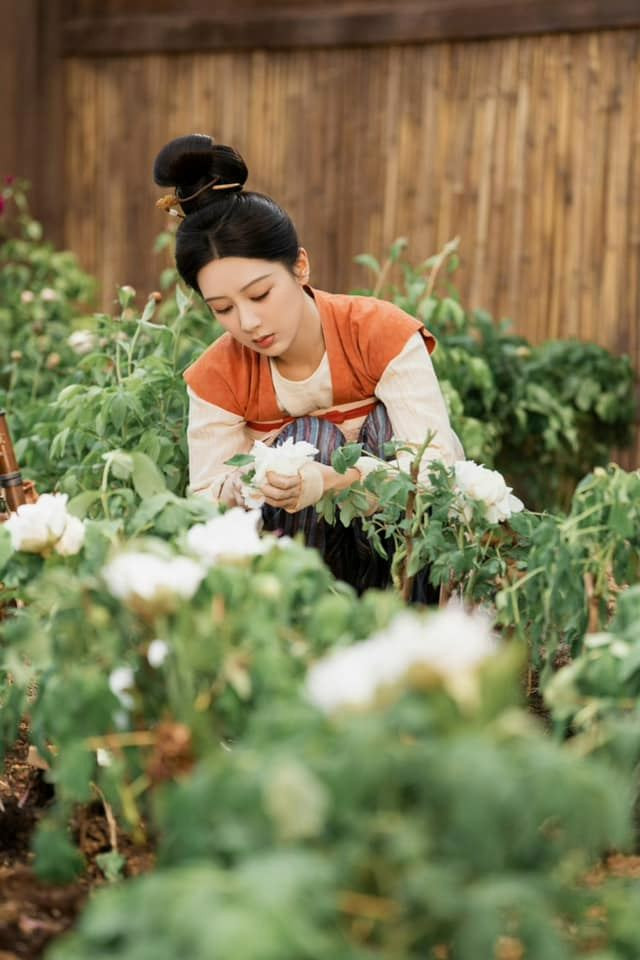 Hoa mẫu đơn xuất hiện nhiều trong các khung hình. Hoa mẫu đơn xuất hiện nhiều trong các khung hình.