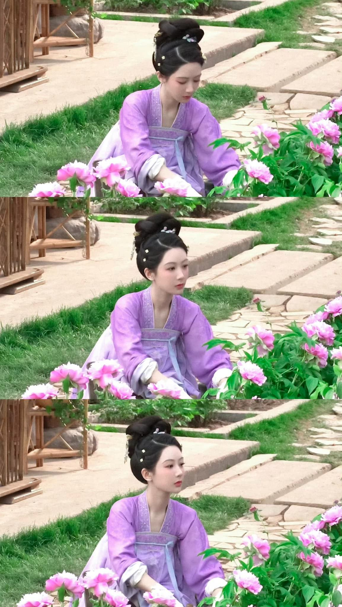 Khán giả đang có trào lưu mua hoa mẫu đơn giống như trong phim về trồng. Khán giả đang có trào lưu mua hoa mẫu đơn giống như trong phim về trồng.