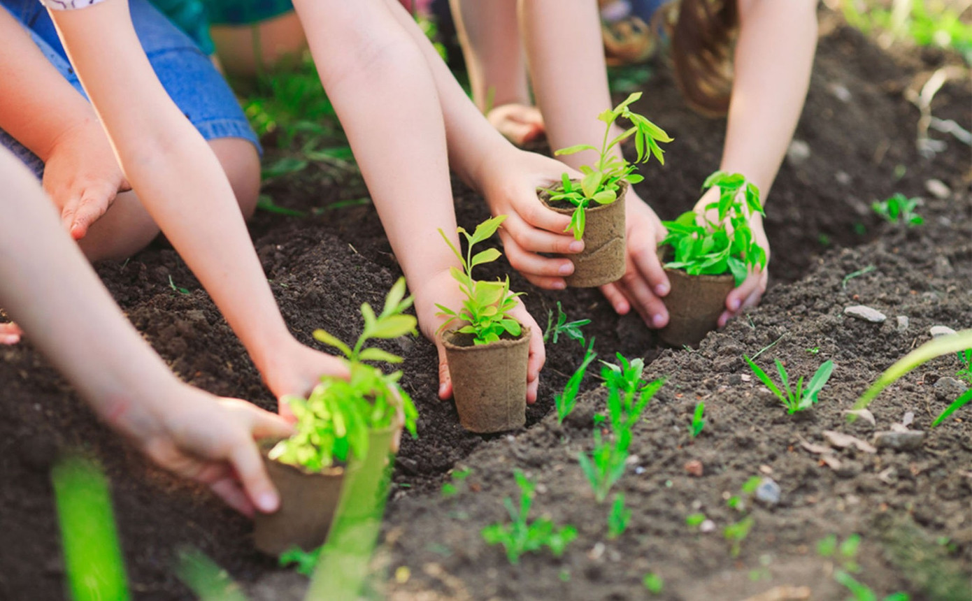 Cùng tham gia thử thách chăm một bé cây thôi nào!