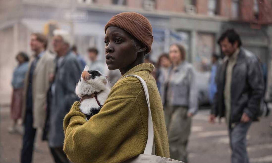 Sam ra đi nhưng mèo Frodo may mắn thoát nạn. Sam ra đi nhưng mèo Frodo may mắn thoát nạn.