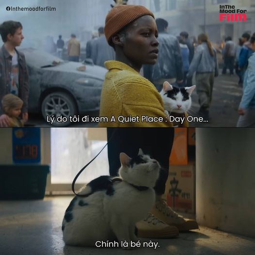 Rất nhiều người mong Frodo sẽ góp mặt ở phần tiếp theo. Nguồn ảnh: In The Mood For Film. Rất nhiều người mong Frodo sẽ góp mặt ở phần tiếp theo. Nguồn ảnh: In The Mood For Film.