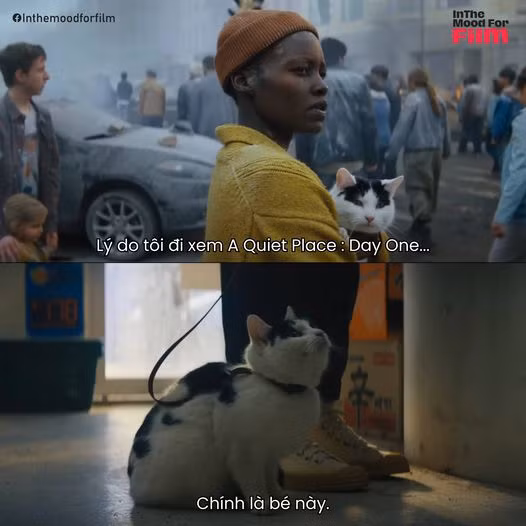 Rất nhiều người mong Frodo sẽ góp mặt ở phần tiếp theo. Nguồn ảnh: In The Mood For Film.