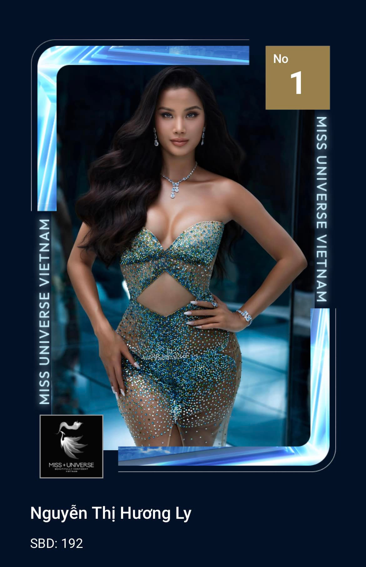 Hương Ly đã 4 lần tham gia Miss Universe Vietnam. Hương Ly đã 4 lần tham gia Miss Universe Vietnam.