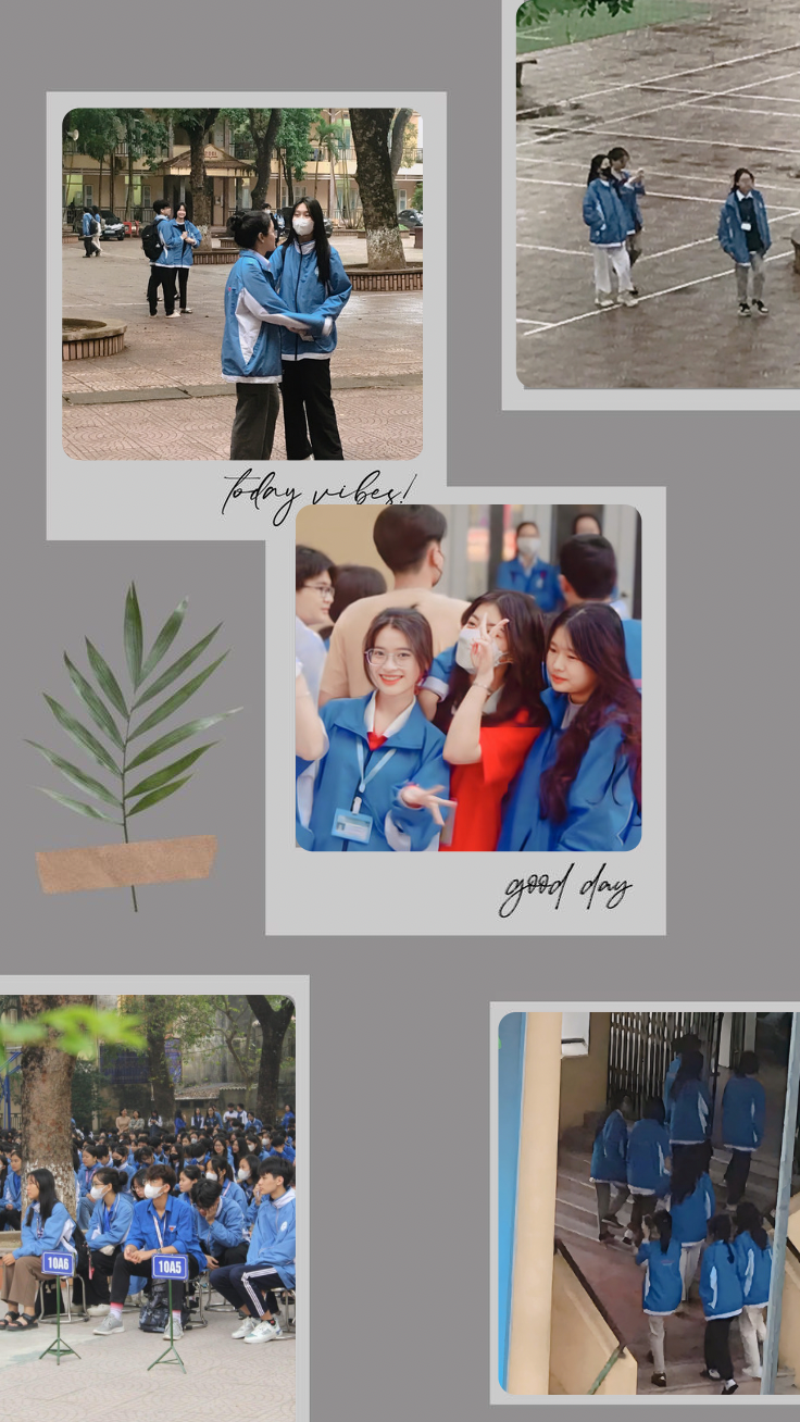 Mỗi Thu về Đông tới là màu áo lại phủ xanh sân trường.