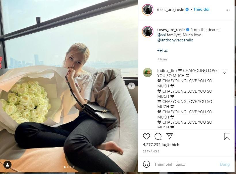 cũng như nhận quà do Saint Laurent gửi tới.