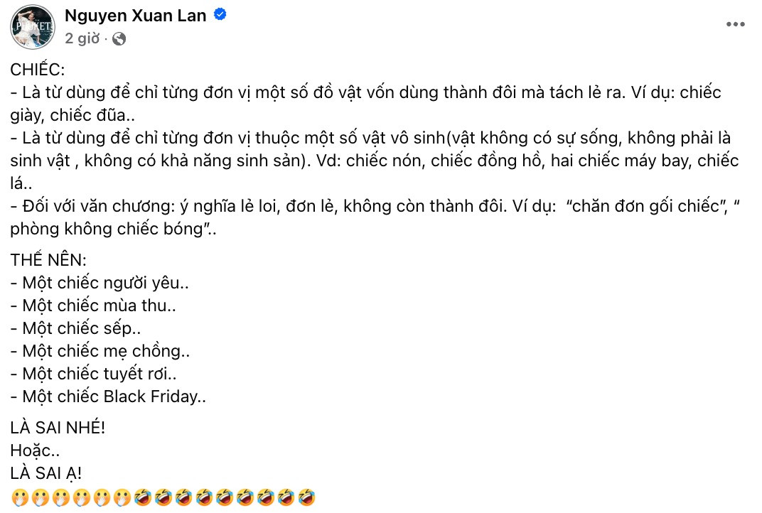 Xuân Lan tiếp tục bắt lỗi một bài đăng khác khi sử dụng sai từ "chiếc".