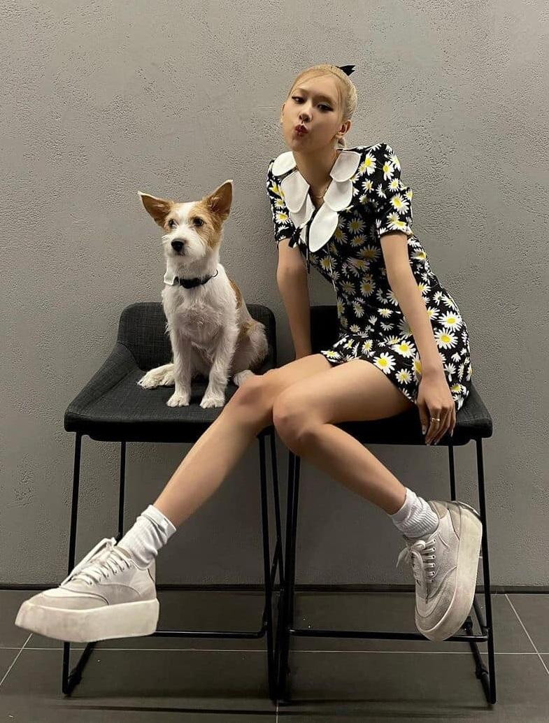 Cô gái trong bức ảnh trên nhìn rất giống Rosé Cô gái trong bức ảnh trên nhìn rất giống Rosé