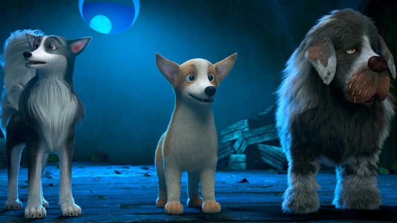 Biệt đội cún cưng phải truy lùng chiếc vương miện quý giá. Biệt đội cún cưng phải truy lùng chiếc vương miện quý giá.