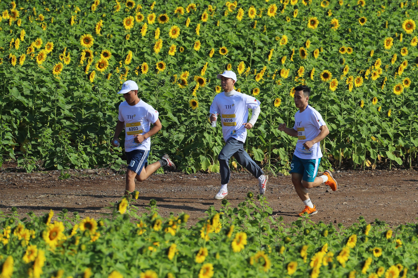 Với sự quyết tâm của các bạn trẻ trên đường chạy, S-Race tiếp tục khẳng định vị thế là giải chạy có quy mô và sức ảnh hưởng lớn nhất dành cho học sinh, sinh viên