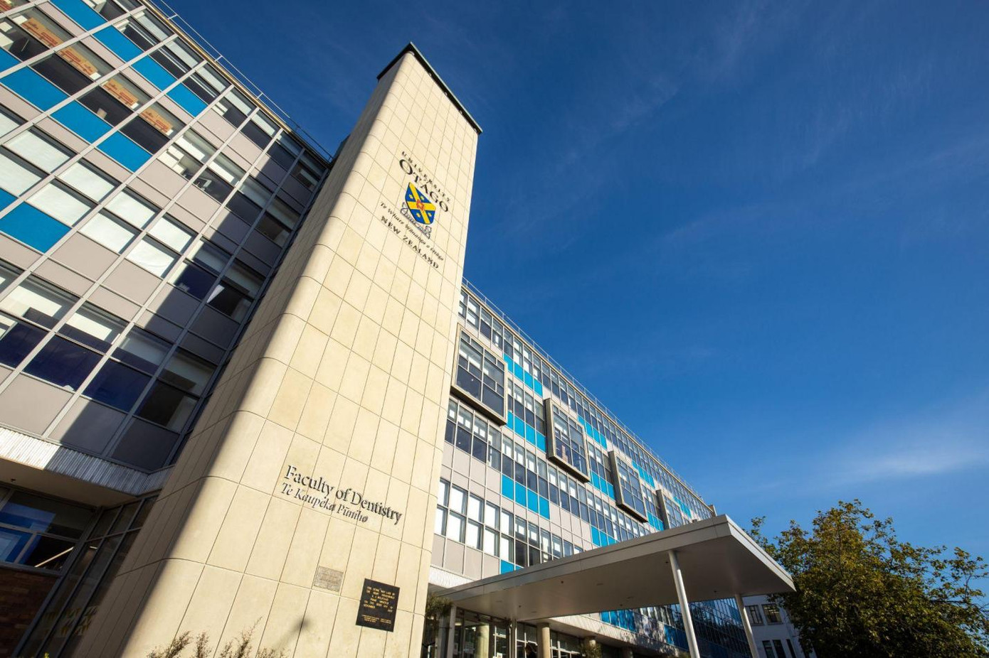 Ngành Nha ĐH Otago đứng thứ 42 trong danh sách các trường đại học tốt nhất thế giới Ngành Nha ĐH Otago đứng thứ 42 trong danh sách các trường đại học tốt nhất thế giới