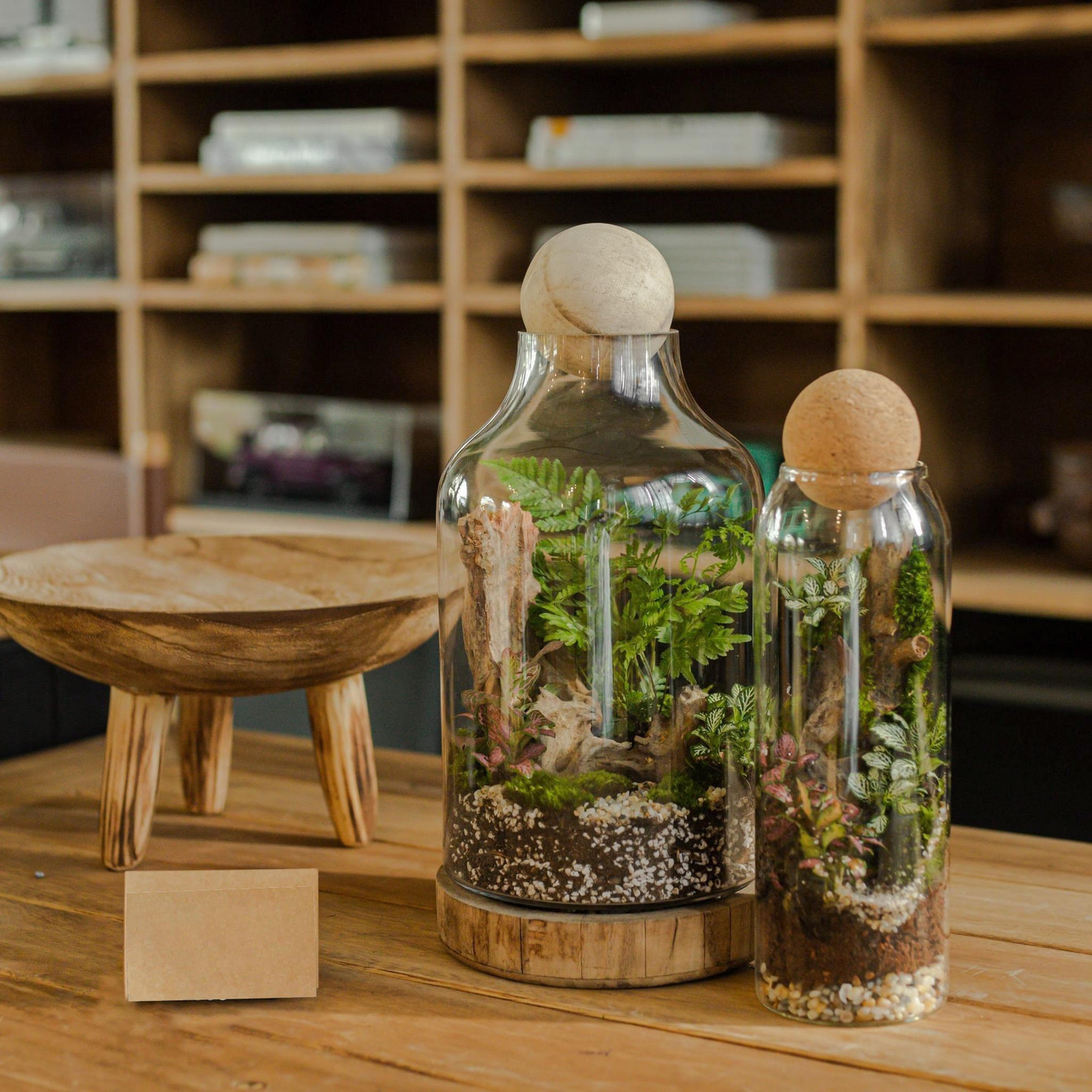 Thành quả từ workshop Terrarium Thành quả từ workshop Terrarium
