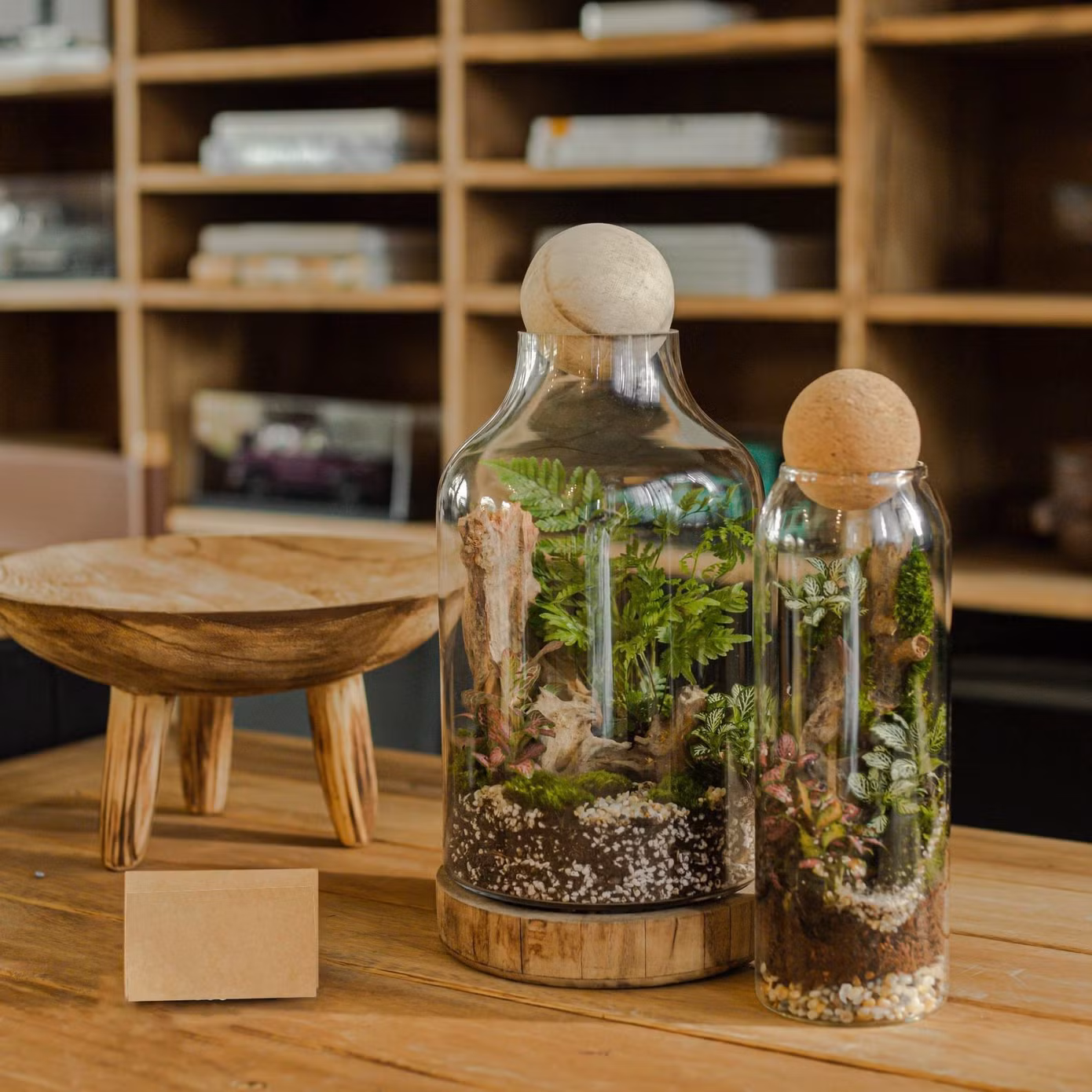 Thành quả từ workshop Terrarium