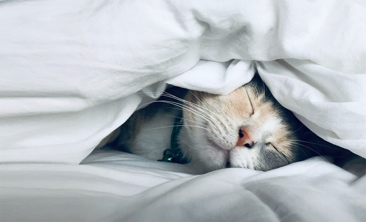 Hãy tập ngủ sớm, ngủ đủ giấc bạn nhé! Hãy tập ngủ sớm, ngủ đủ giấc bạn nhé!