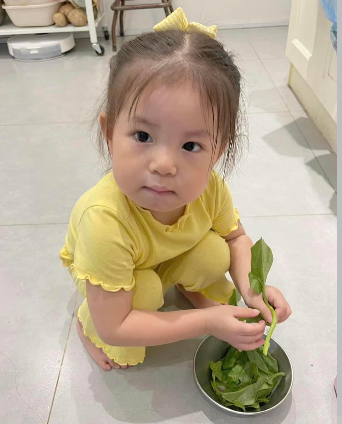 Pam đang là nhóc tì được cư dân mạng quan tâm nhất lúc này.