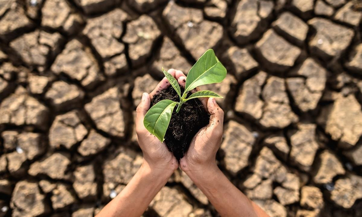 Khô hạn ở Ninh Thuận là một phần hệ quả của biến đổi toàn cầu