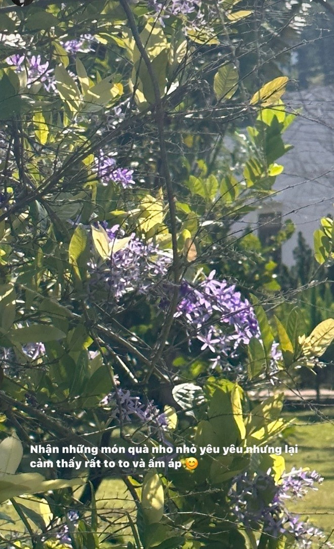 Cuộc sống hiện tại của Lâm Minh khá yên bình nên mọi người cũng mừng cho cô. Cuộc sống hiện tại của Lâm Minh khá yên bình nên mọi người cũng mừng cho cô.