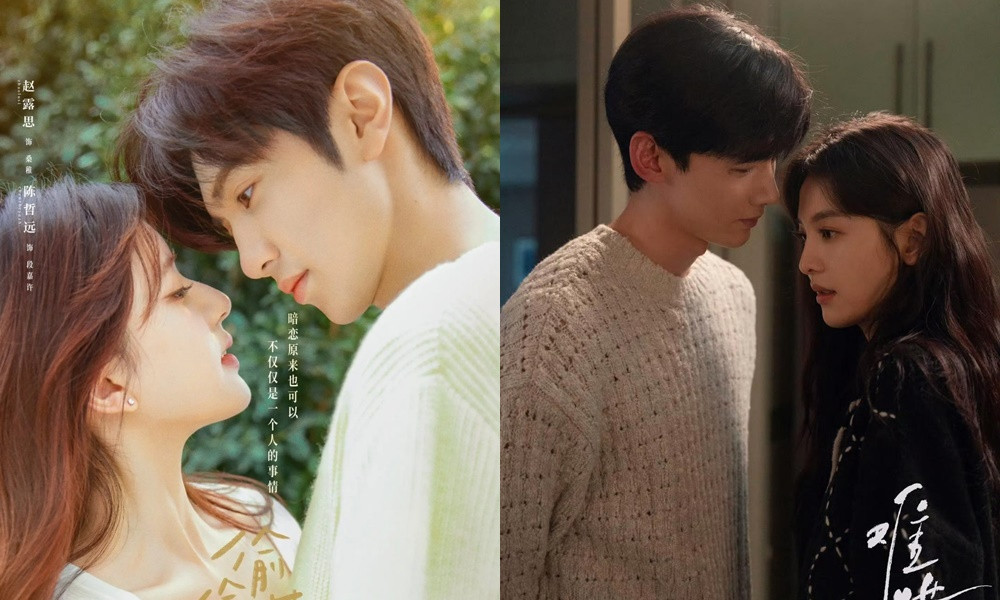 Vụng Trộm Không Thể Giấu, Khó Dỗ Dành đều là phim chuyển thể từ tiểu thuyết. Vụng Trộm Không Thể Giấu, Khó Dỗ Dành đều là phim chuyển thể từ tiểu thuyết.