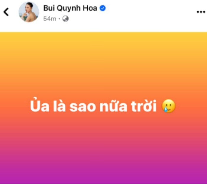 Bùi Quỳnh Hoa ngạc nhiên trước bài đăng của Nam Em.