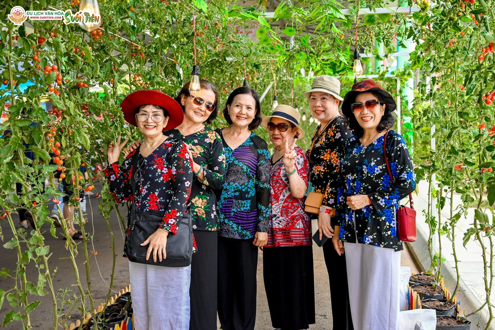 Du khách tham quan, chụp hình miễn phí mô hình cà chua bi trồng trên giá thể.