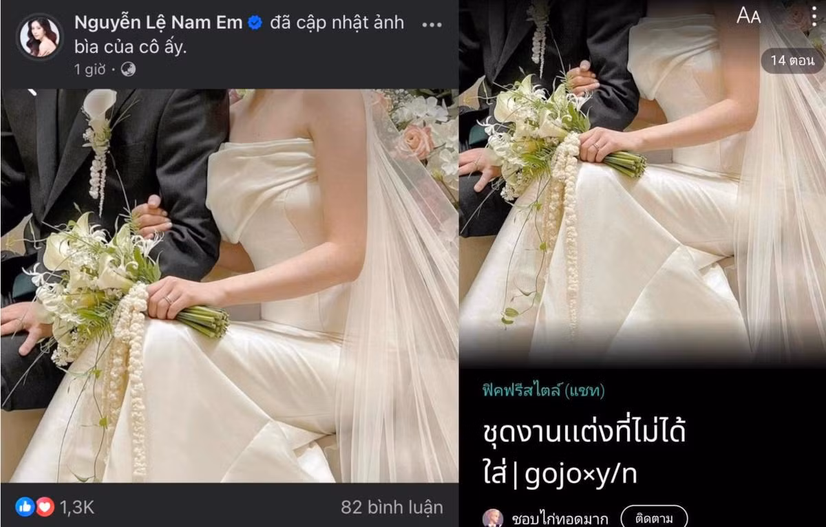 Hóa ra Nam Em đã... mượn ảnh trên mạng.
