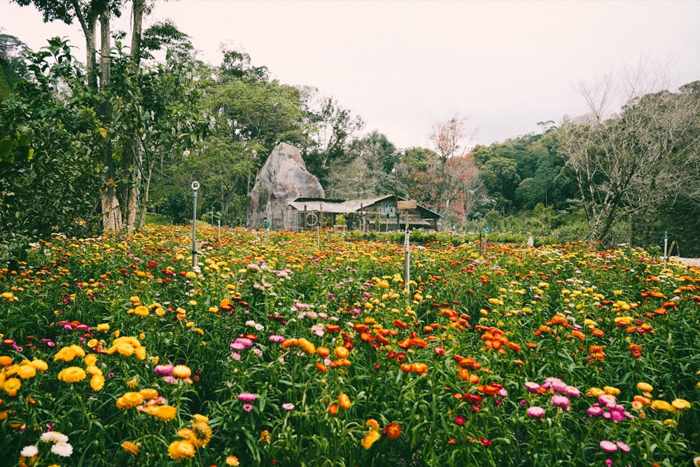 Khu vườn bất tử cũng rất tốn tiền đầu tư trong phần 7.