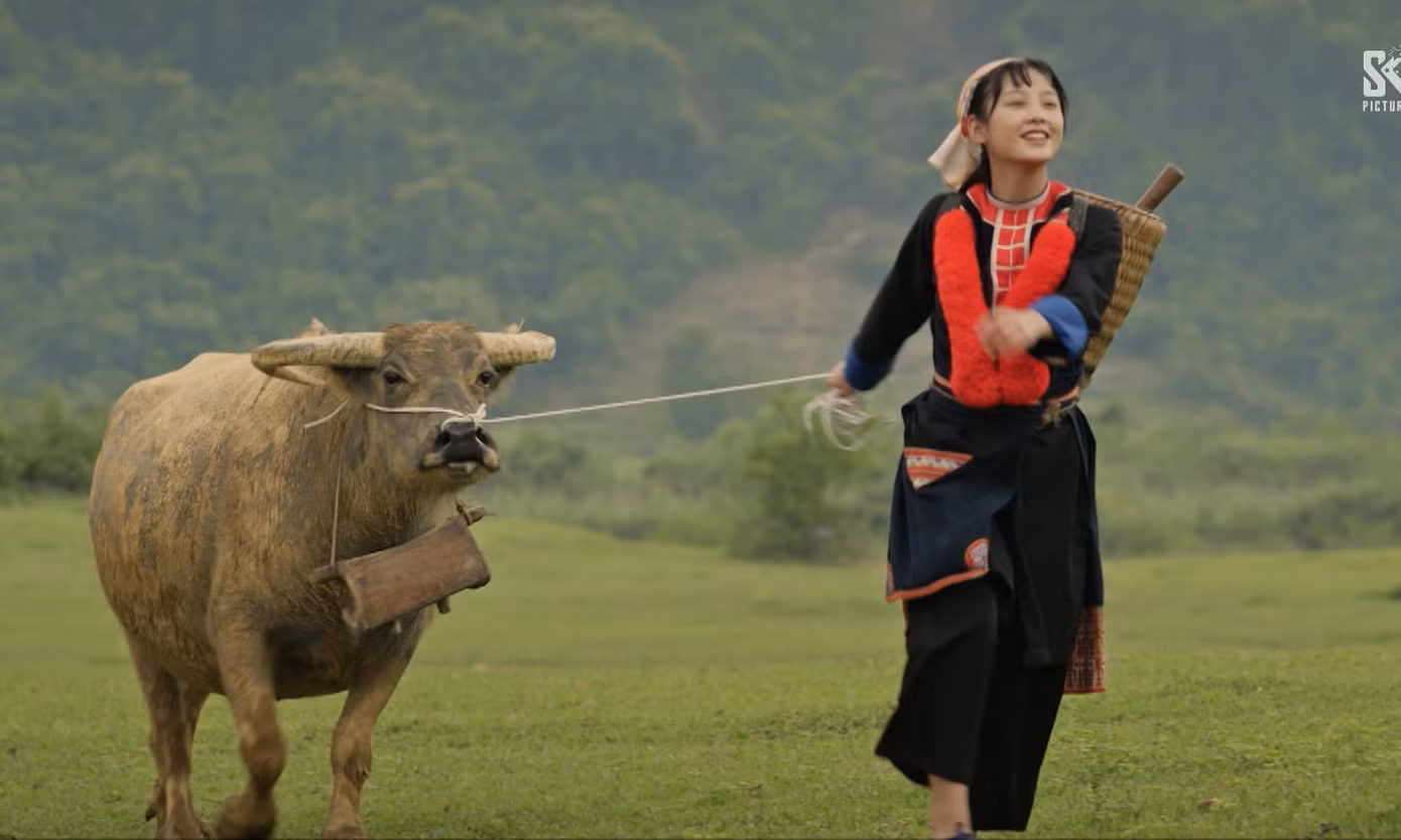 Chi tiết này bị dân mạng ví như "để người Kinh mặc áo dài đi chăn trâu".