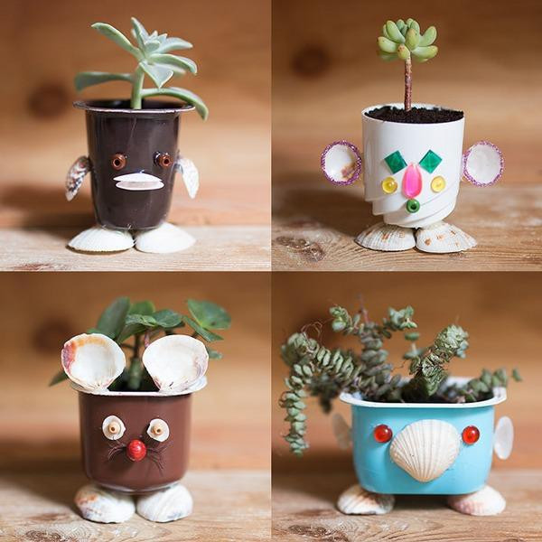 Hộp sữa chua có thể thành chậu cây xinh xắn này Hộp sữa chua có thể thành chậu cây xinh xắn này